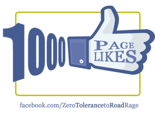 Facebook campaign, 1000 likes, community pages, causes, volunteering, social media